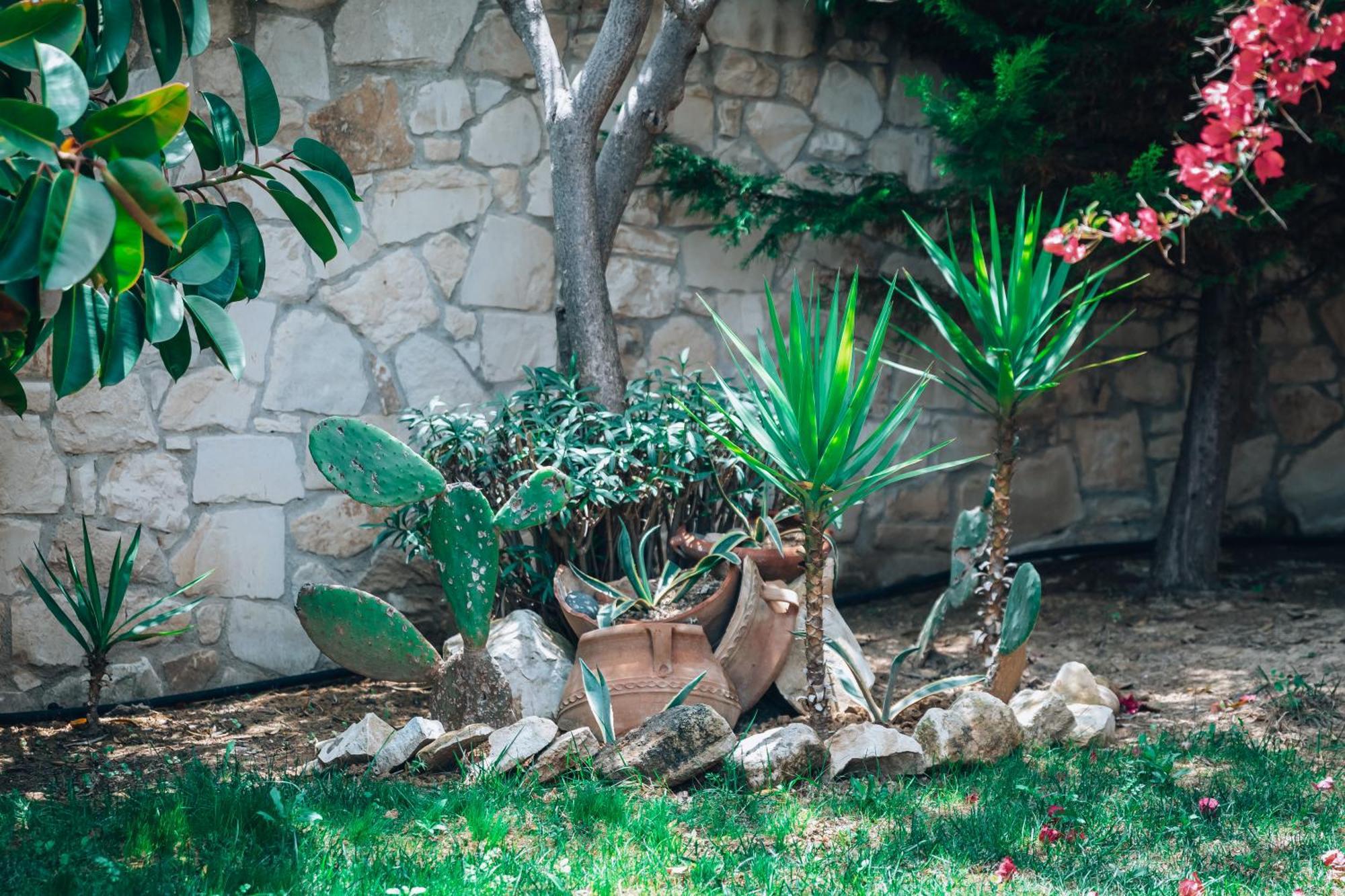 Stalós Villa Stafidaki מראה חיצוני תמונה